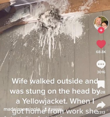 Guest review image 1 of 3, zoom in