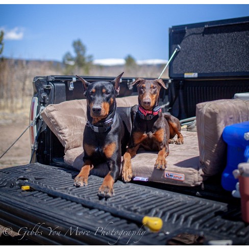 Big barker suv on sale bed