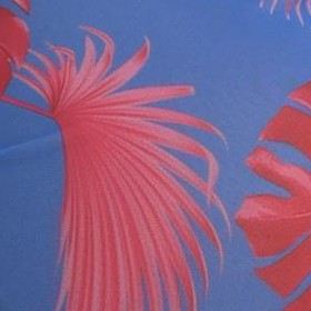 blue red