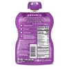 Mamma Chia Blackberry Bliss Chia Squeeze - 3.5oz/4ct - 4 of 4