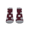 NCAA Montana Grizzlies Big Dot Fuzzy Sleep Soft Socks - 2 of 3