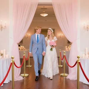 TinyHomie Stainless Steel Posts with Velvet Ropes for Events, Hotels, and Theaters - 1 of 4