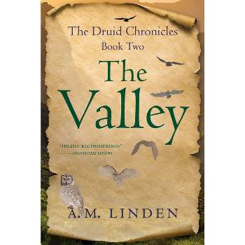 The Valley - (The Druid Chronicles) by  A M Linden (Paperback)