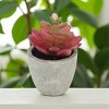 Unique Bargains Artificial Plants Plastic Pink 2.36"x2.36"x2.76" 1 Pcs - 2 of 4
