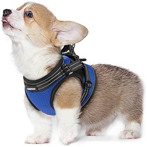rabbitgoo Small Dog Harness, Soft Mesh Dog Harness with 4 Adjustable Straps, No Pull Dog Vest , Escape Proof, Blue, Medium - 1 of 1