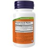 Butterbur 75mg by Now Foods  -  60 VegCap - 2 of 2