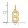 Black Bow Jewelry 14k Yellow Gold, Jersey Collection, Small Number 8 Pendant - 4 of 4