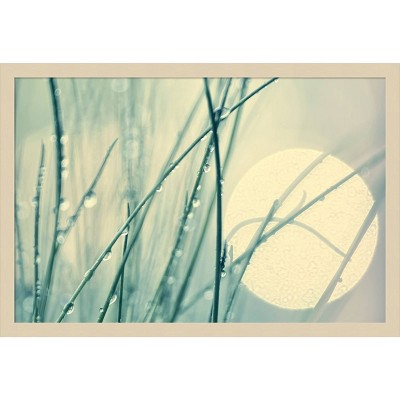Morning Blues by Ingrid Beddoes Framed Graphic Art Print in Natural Wood