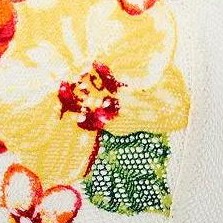 tropical flowers c01