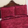 Collections Etc Melanie Chenille Sham - 2 of 4