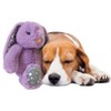 ETHICAL/SPOT Soothers Heartbeat Bunny Dog Toy - 12" - 4 of 4