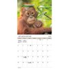 Trends International 2026 Animal Babies Bilingual French 12"x12" Wall Calendar - 2 of 4