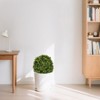 Dexmalle 2Pieces 22in Artificial Topiary Boxwood Ball Trees - 2 of 4