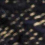 black, teal, pale blue, peach