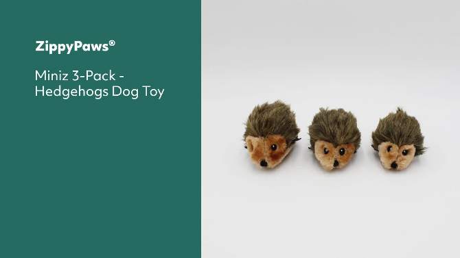 ZippyPaws Miniz Hedgehogs Dog Toy - 3pk, 2 of 7, play video