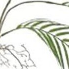 150cm double pole green