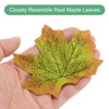 Unique Bargains Home Durable Fall-themed Silk Fabric Faux Autumn Artificial Maple Leaves 200 Pcs - 2 of 4