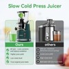 Aeitto Cold Press Juicer, Juicer Machines with 3.3" Large Feed Chute,Avocado Green - 4 of 4