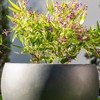 Rosemead Home & Garden, Inc. Concrete Outdoor Planter Pot Black 10.2"x15" - 4 of 4