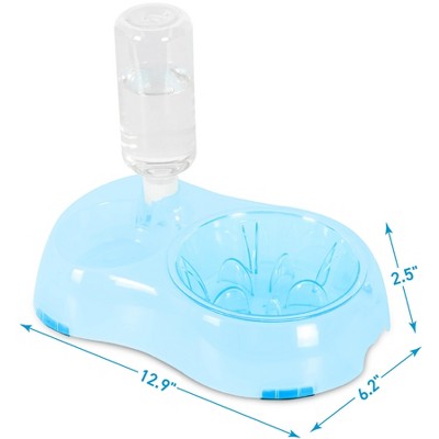 Elevated Double Transparent Slow Feeder Bowl with Water Bottle