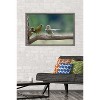 Trends International The Comedy Wildlife Photography Awards: Jacek Stankiewicz - Dispute Framed Wall Poster Prints - 2 of 4