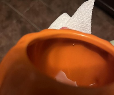 Guest review image 1 of 1, zoom in