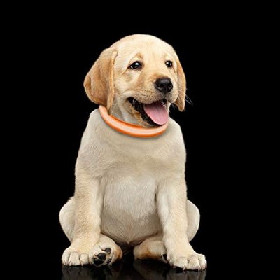 PETMAKER LED XL Dog Collar-Lights Up for Night Visibility & Safety- Adjustable,for Evening Walks Or Runs (Orange)
