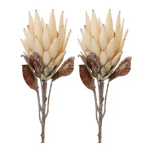 Beige Protea Flower Stem (Set of 2) - 1 of 3
