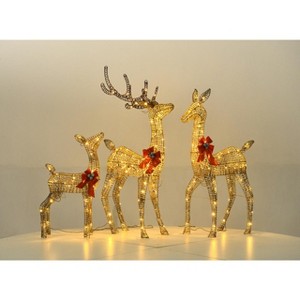 Wovenbyrd Holiday Time Set of 3 Light-Up Deer Family Christmas Decoration, - 1 of 1