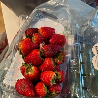 Guest review image 1 of 2, zoom in