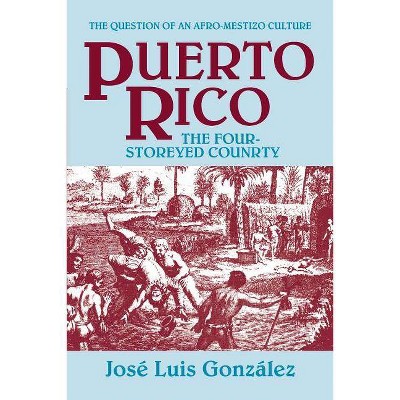 Puerto Rico - by  Jose Luis Gonzalez (Paperback)