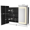 Lighted Medicine Cabinet with Mirror Wall Mounted Bathroom Mirror with Storage - 2 of 4