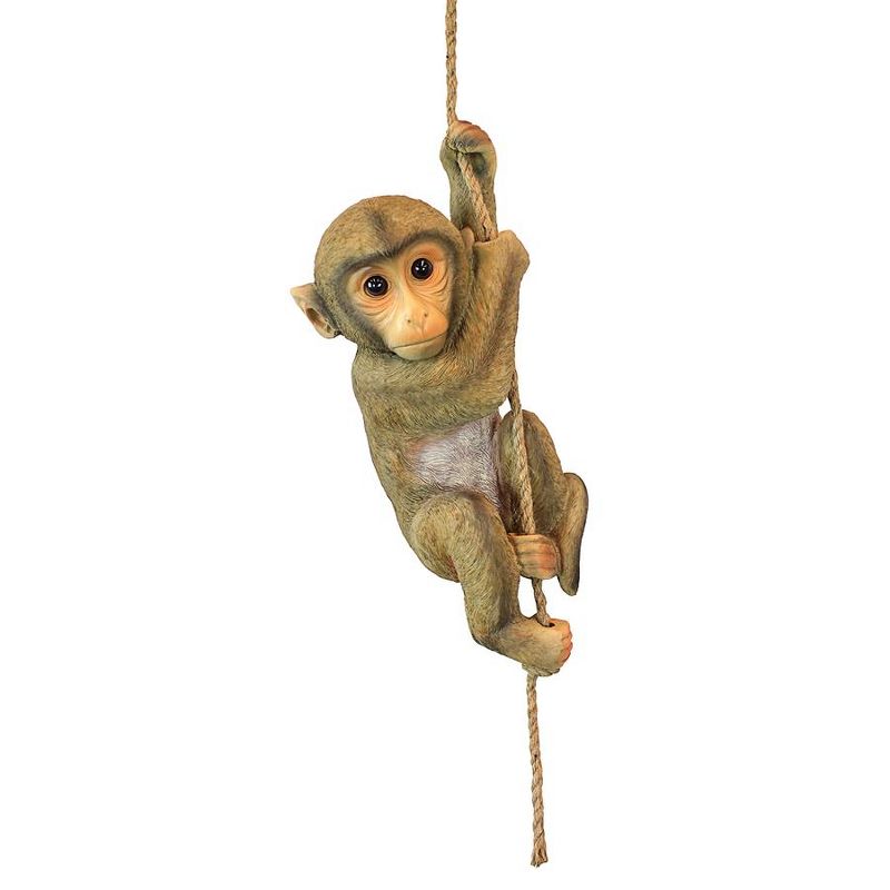 Design Toscano Chico, The Chimpanzee Hanging Baby Monkey Statue, 3 of 6