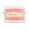 Unique Bargains Hip Hop Long Rhinestone Fake Grills 1 Pc - 2 of 4
