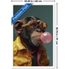 Trends International Ray Heere - Chimpanzee Blowing Bubble Framed Wall Poster Prints - 3 of 4