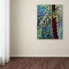 Trademark Fine Art-Mandy Budan 'Pine Sprites' Matted Framed Art - 3 of 3