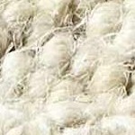 cream, steel blue, light brown