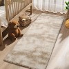 Fluffy Area Rug- Shag Area Rug for Living Room, Shaggy Large Indoor Thick Living Room Carpet with Non-Slip Backing, Soft Plush Carpet - 3 of 4