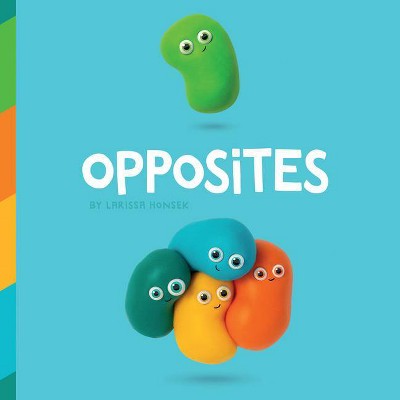 Opposites - by  Larissa Honsek (Board Book)