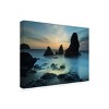 Trademark Fine Art -Moises Levy 'Rodeo Beach I' Canvas Art - 4 of 4