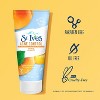 St. Ives Oil-Free Acne Control Apricot Face Scrub - 6oz - image 4 of 4
