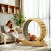 PawHut Cat Running Wheel, Cat Tree with Carpet Runway Cat Exercise Wheel with Brake Cat Tower Pet Furniture for Kittens - 2 of 4