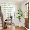 Artificial Tree in Pot with Realistic Leaves & Natural Wood Trunk - 4 of 4