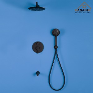 CASA INC 9.5 inches Round Wall Mount Dual Shower Heads with Handheld Spray (Valve Included) in Brushed Nickel - 1 of 4