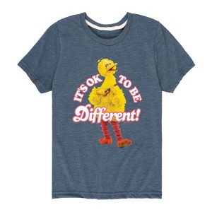 Boys' - Sesame Street - Its Ok To Be Different Short Sleeve Graphic T-Shirt - 1 of 4