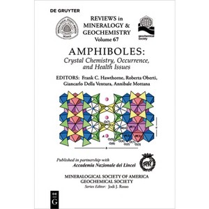 Amphiboles - (Reviews in Mineralogy & Geochemistry) by  Frank C Hawthorne & Roberta Oberti & Giancarlo Della Ventura & Annibale Mottana (Paperback) - 1 of 1