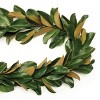 Magnolia Leaf Garland 5'L - 2 of 2
