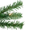 Northlight Pre-Lit Sierra Noble Fir Artificial Christmas Wreath, 30-Inch, Clear Lights - 3 of 4