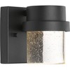 Progress Lighting Z-1060 1-Light Outdoor Wall Light, Black Finish, Glass Shade - 2 of 4