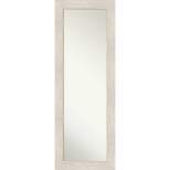 19" x 53" Hardwood Framed Full Length on the Door Mirror - Amanti Art